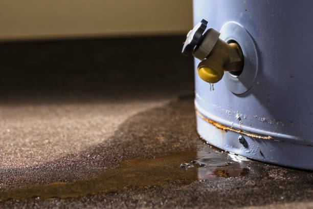 Best Fire Damage Restoration  in Mauldin, SC