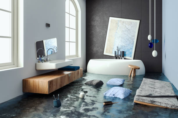 Best Flooded house restoration  in Mauldin, SC