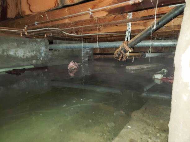 Mauldin, SC Water damage restoration Company