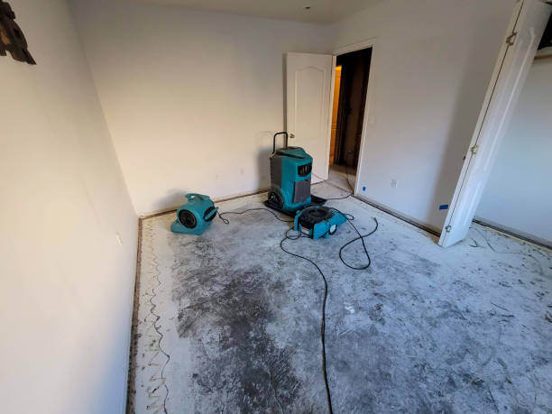 Best Emergency water damage restoration  in Mauldin, SC