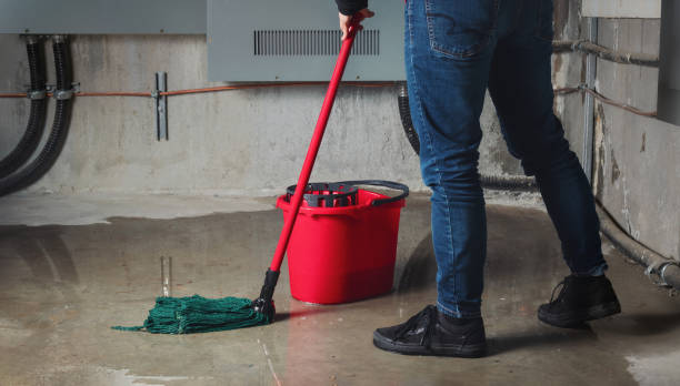 Best Water damage restoration near me  in Mauldin, SC