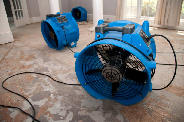 Trusted Mauldin, SC Water damage restoration Experts