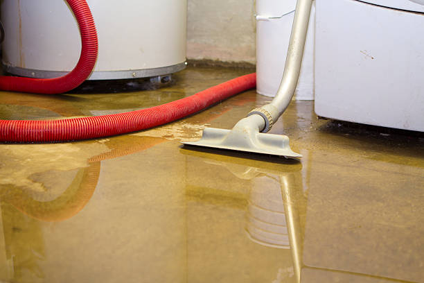 Best 24/7 water damage repair  in Mauldin, SC