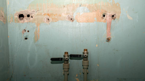  Mauldin, SC Water damage restoration Pros