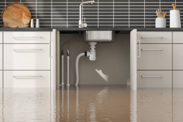 Carpet water damage restoration in Mauldin, SC