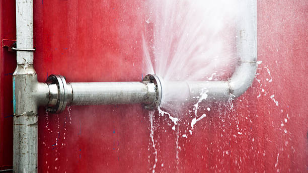 Best Local water damage restoration  in Mauldin, SC