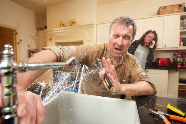 Best Professional water damage repair  in Mauldin, SC